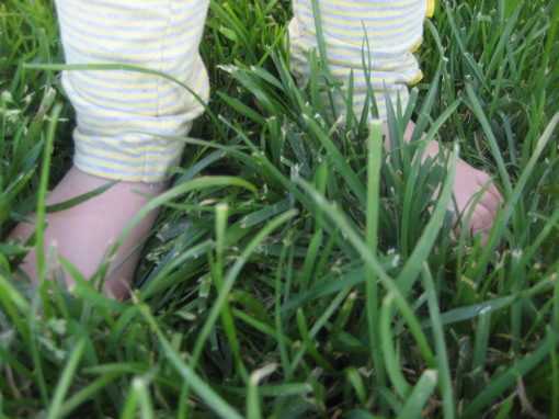 barefootinthegrass.jpg