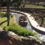 IMG_1009